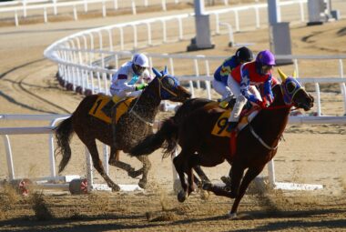 Understanding the Favorite-Longshot Bias in Sports Betting