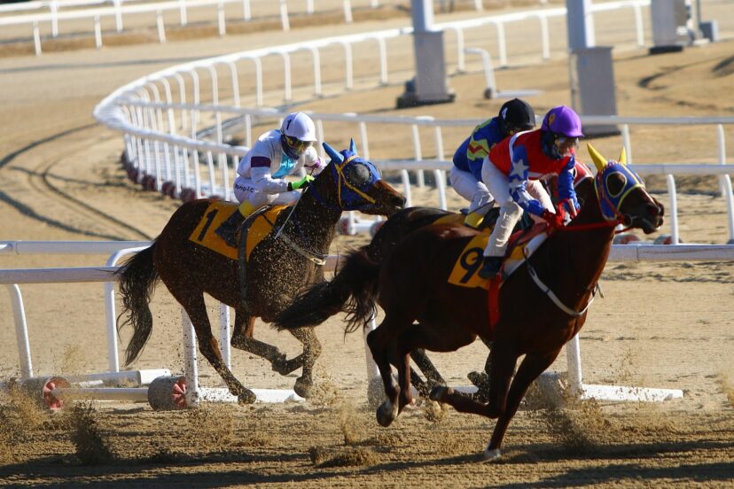 Understanding the Favorite-Longshot Bias in Sports Betting