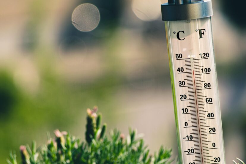 temperature effect on mlb home runs